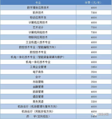 湖南省單招考試報考計算機、軟件類專業(yè)院校與重點推薦—聚焦技術(shù)開發(fā)與銷售